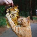 Pesquisar por acrílico pôsteres pósteres Natureza