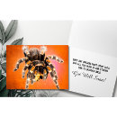 Pesquisar por tarantula cartoes postais Fotografia