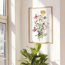 Pesquisar por flores silvestres de aquarela pósteres Para ela