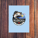 Pesquisar por peixes coloridos cartoes postais Pesca