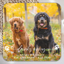 Pesquisar por aberto porta copos Para eles