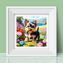 Pesquisar por yorkshire terrier dog pôsteres pósteres Qualquer pessoa