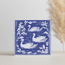 Pesquisar por pássaros brancos azulejos Natureza