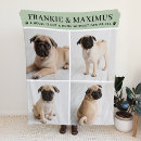 Pesquisar por cachorro mantas Para pets