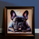 Pesquisar por buldogue francês preto pôsteres pósteres Desenho