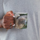 Pesquisar por caudas vermelhas canecas Falcão de cauda vermelha