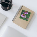 Pesquisar por coneflower roxo Foto