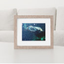 Pesquisar por mergulho pôsteres pósteres Animal