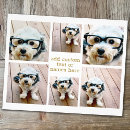 Pesquisar por fotos flyers Para todos