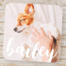 Pesquisar por etiquetas dos animais adesivos Aniversário