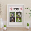 Pesquisar por animais estimação retratos Foto de cachorro