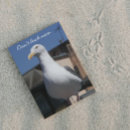 Pesquisar por seagull cartoes Pássaro