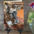 Pesquisar por bovino cartoes Animal