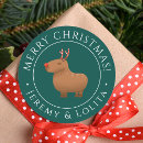 Pesquisar por capybara adesivos Humor