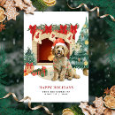 Pesquisar por goldendoodle cartoes Aquarela