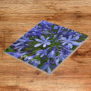 Pesquisar por flor de sino azul Para todos