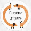 Pesquisar por engraçado etiquetas Para todos