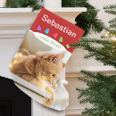 Pesquisar por luzes de natal meias de natal Para pets