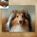 Pesquisar por sheltie pôsteres pósteres Estante