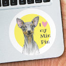 Pesquisar por pinscher Amor