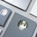 Pesquisar por peregrinos adesivos Pássaro