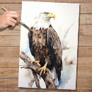 Pesquisar por águia papeis de seda Majestoso