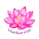 Pesquisar por spiritual roupas Dezenas