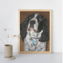 Pesquisar por springer spaniel pôsteres pósteres Cães