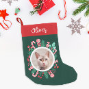 Pesquisar por dog photo meias de natal Gato