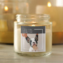 Pesquisar por cão branco preto adesivos Para todos