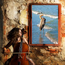 Pesquisar por bird impressão de canvas Oceano
