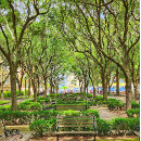 Pesquisar por charleston pôsteres pósteres História