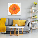 Pesquisar por gerberas artes pósteres Fotografia