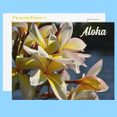 Pesquisar por plumeria cartoes postais Frangipano