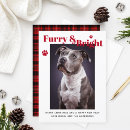 Pesquisar por animais natal cartoes Divertido