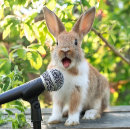 Pesquisar por encontrar bagagem tags Viagem