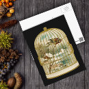 Pesquisar por birdcage cartoes postais Pássaro