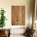 Pesquisar por tronco de árvore pôsteres pósteres Para todos