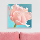 Pesquisar por fundo cor rosa impressão de canvas Tulipas