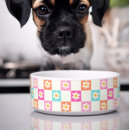 Pesquisar por colorida coleiras cao Fofofo