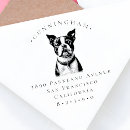 Pesquisar por do terrier de boston Qualquer pessoa
