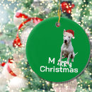 Pesquisar por de natal de bull terrier ornamentos Animais de companhia