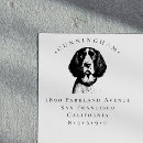 Pesquisar por spaniel Cão
