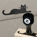 Pesquisar por encontro para baixo Gato