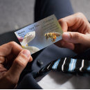 Pesquisar por pólen cartao de visita Abelha