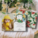 Pesquisar por pássaros exóticos cartoes Natureza