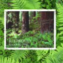 Pesquisar por madeira cartoes postais Lembrança