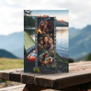 Pesquisar por campanha cartoes Montanhas