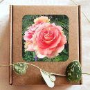 Pesquisar por close up adesivos Flor