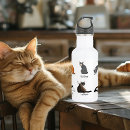 Pesquisar por cats garrafa agua Engraçado